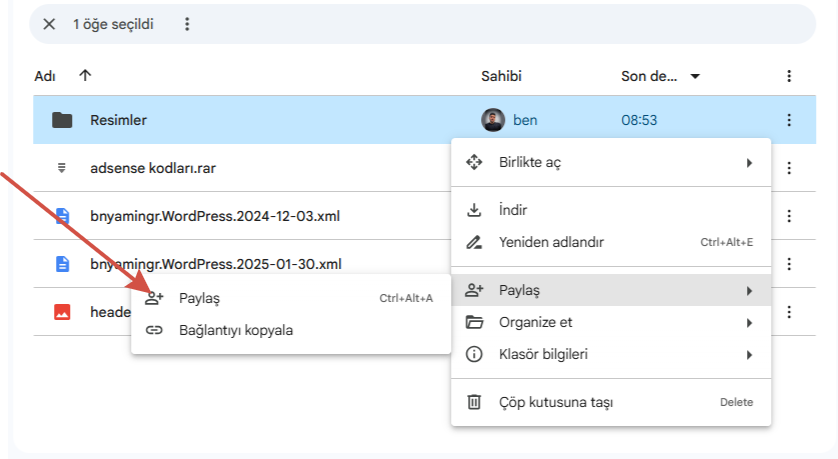 Google Drive Dosya Paylaşma